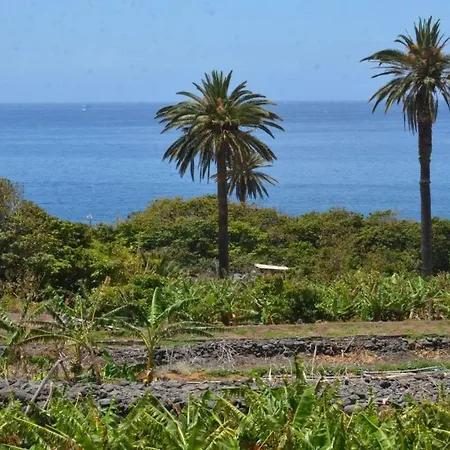 Apt. Heliconia Nº 4